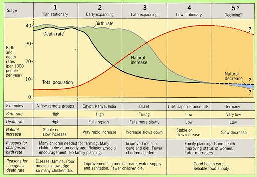 Demographic transition theory - Stages