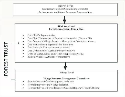 Levels of Joint Forest Management