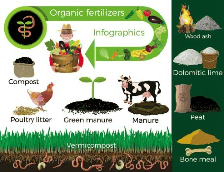 Various Organic Fertilizers