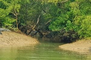 Bhitarkanika, Odisha