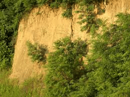 Loess