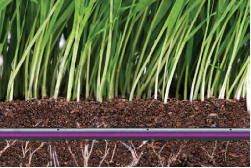 Sub-surface Drip Irrigation