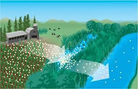 buffer zone