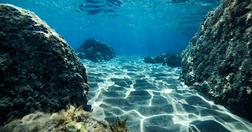Oceanic Floor