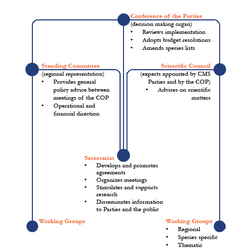 CMS Structure