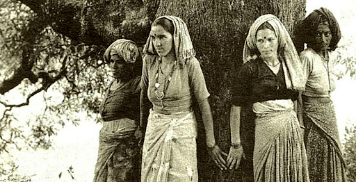 Tree Hugging in the Chipko Movement