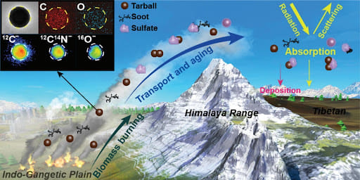 Effect of Tarball