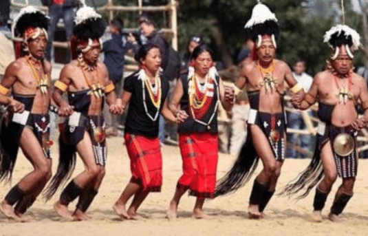 hornbill festival specifications