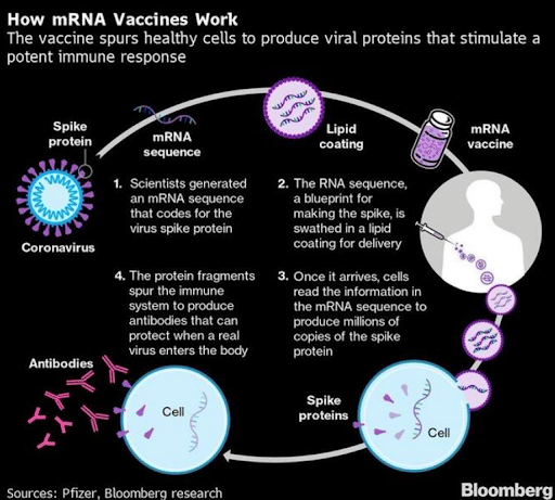 mRNA