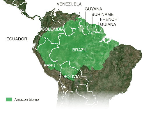 Amazon Nations