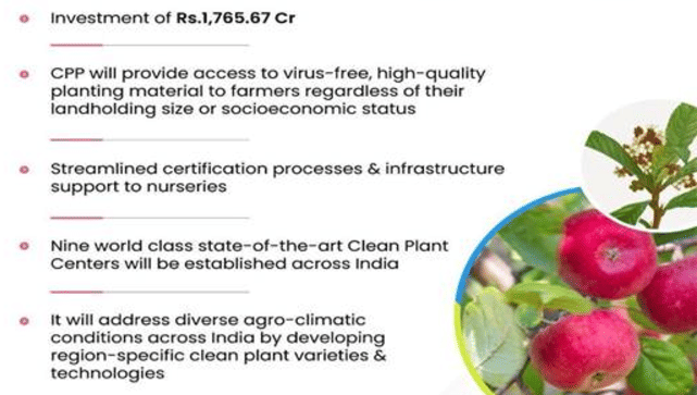 plant programme specification