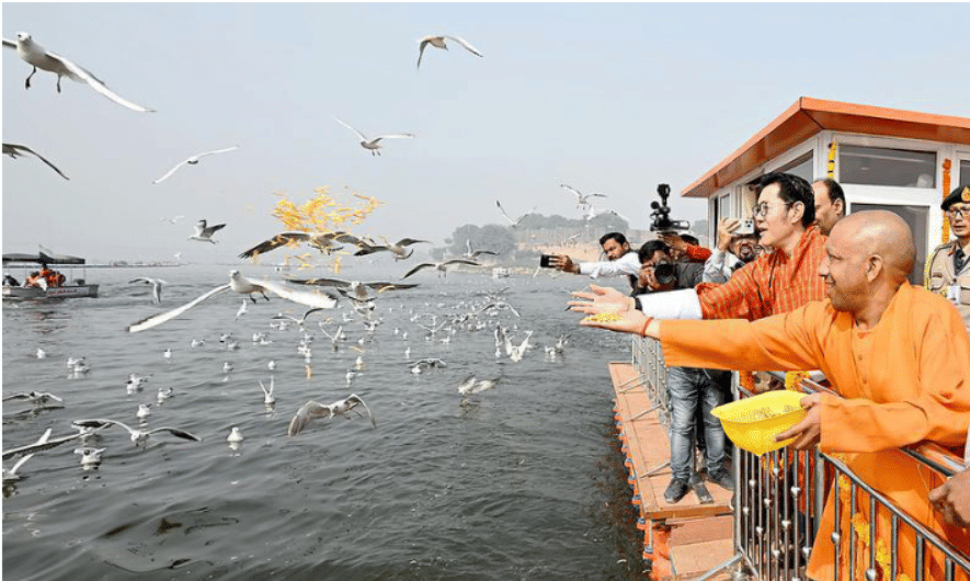 seagulls